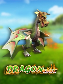 dragon hot